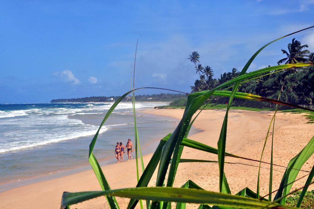 The Beach Cabanas Retreat & Spa Koggala Bagian luar foto