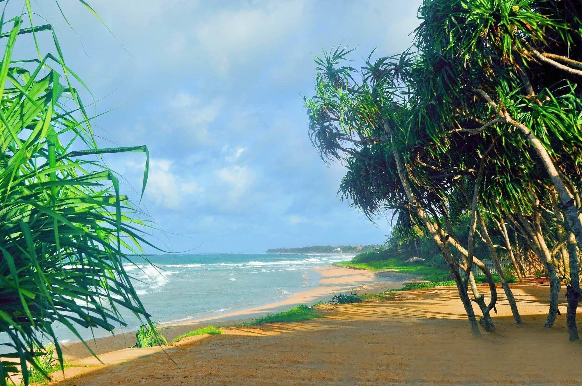 The Beach Cabanas Retreat & Spa Koggala Bagian luar foto